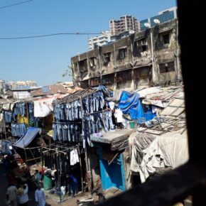 Feb-inclusion-website RLa